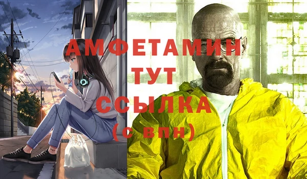 дживик Белокуриха