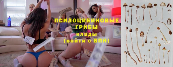 спиды Данков