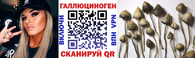 МЕГА   Валуйки  Галлюциногенные грибы Magic Shrooms 
